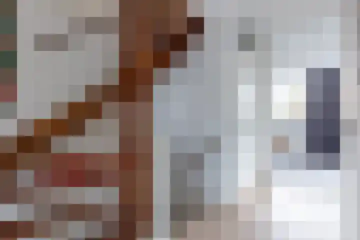 Witte de Withstraat 41 Brielle thumbnail 14