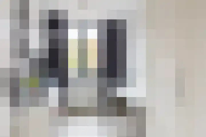 Witte de Withstraat 41 Brielle thumbnail 22