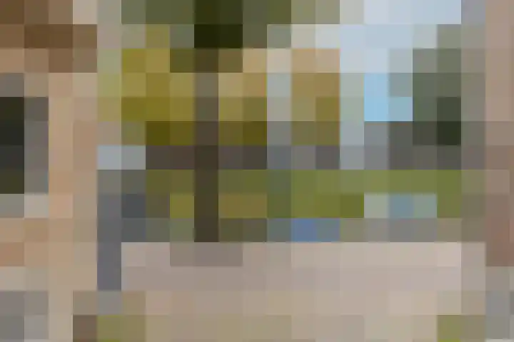 Witte de Withstraat 41 Brielle thumbnail 37