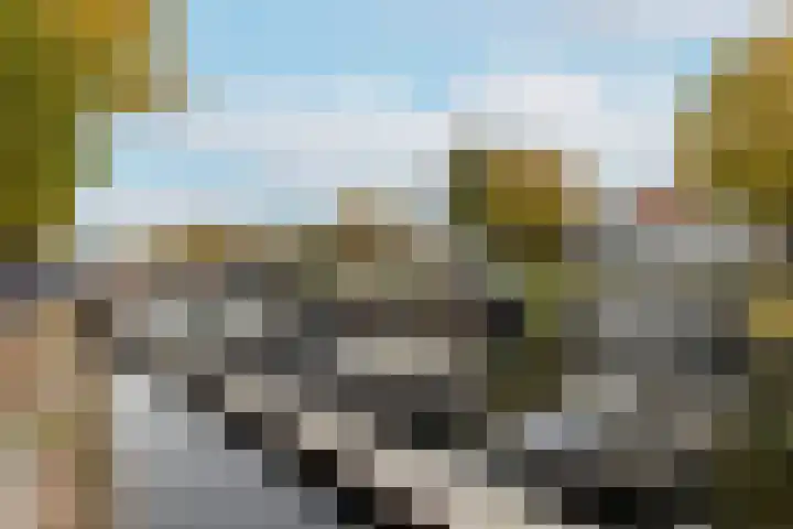 Witte de Withstraat 41 Brielle thumbnail 38