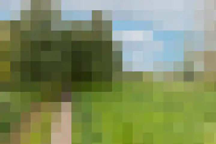 Witte de Withstraat 41 Brielle thumbnail 44