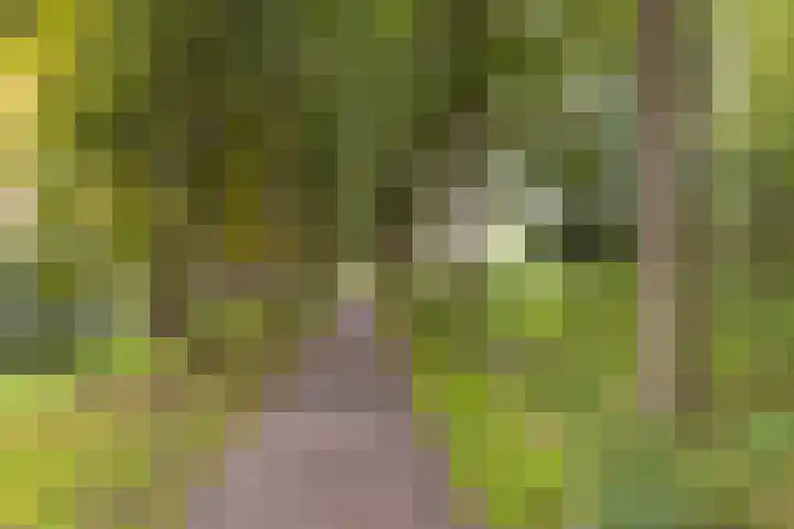 Witte de Withstraat 41 Brielle thumbnail 47