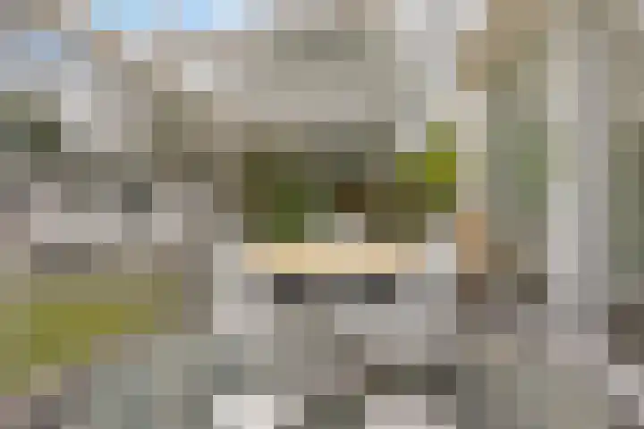Witte Hoeflaan 9 Oss thumbnail 11