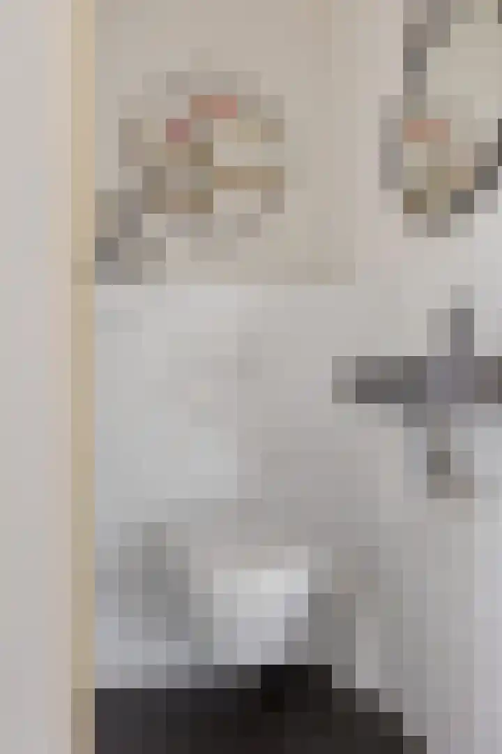 Witte Hoeflaan 9 Oss thumbnail 13