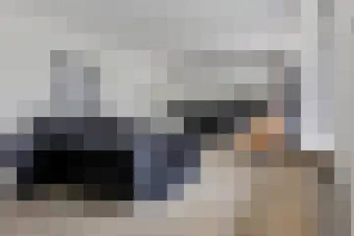 Witte Hoeflaan 9 Oss thumbnail 14