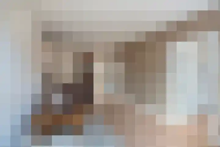 Witte Hoeflaan 9 Oss thumbnail 24