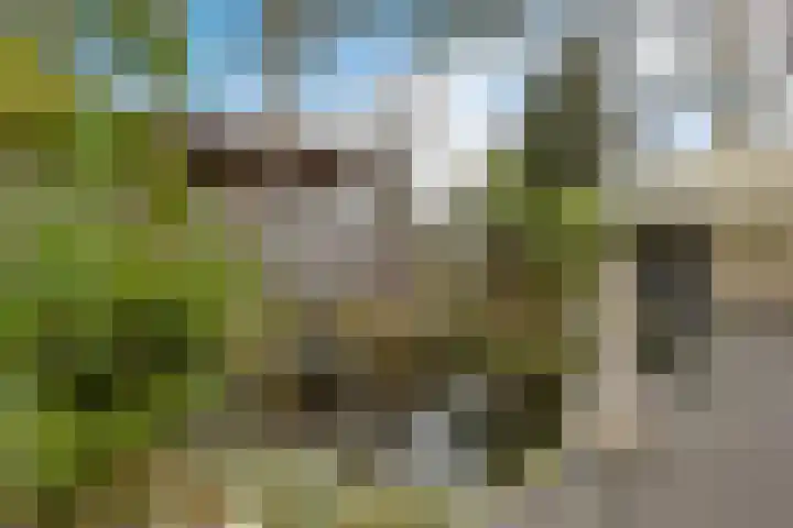 Witte Hoeflaan 9 Oss thumbnail 28