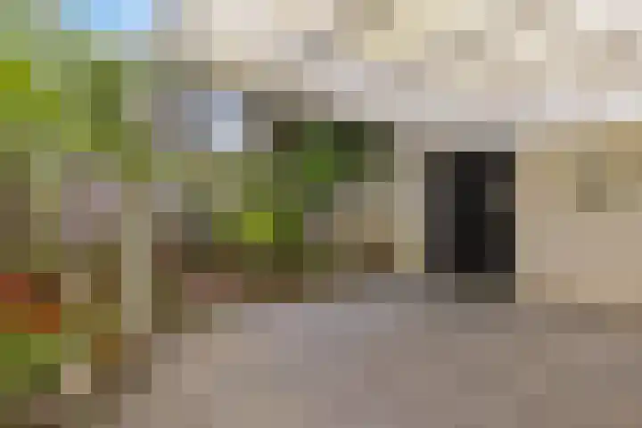 Witte Hoeflaan 9 Oss thumbnail 30
