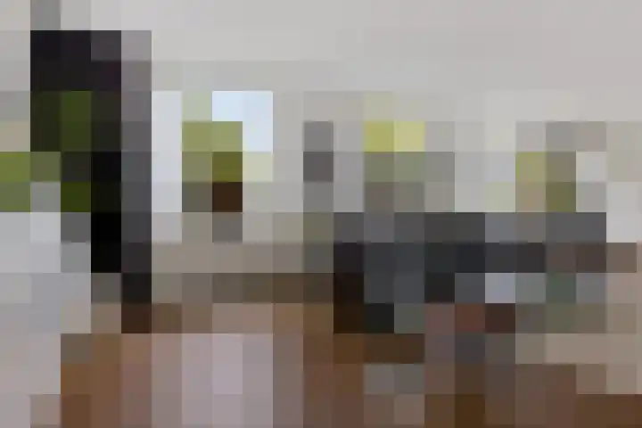 Witte Hoeflaan 9 Oss thumbnail 4