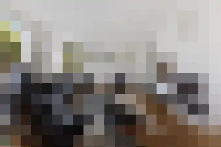 Witte Hoeflaan 9 Oss thumbnail 5