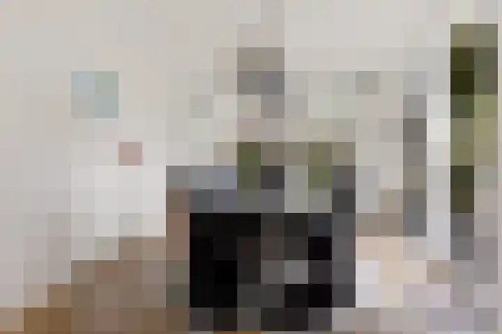 Witte Hoeflaan 9 Oss thumbnail 8