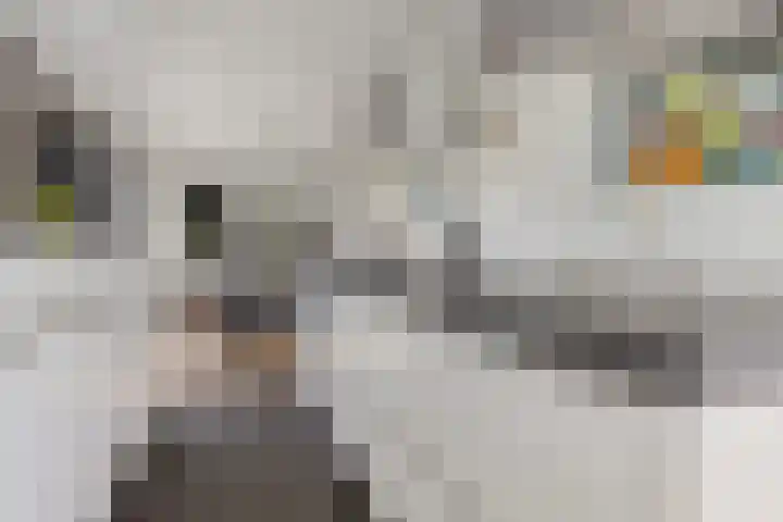 Witte Hoeflaan 9 Oss thumbnail 9