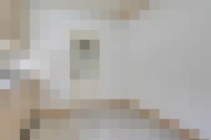 Witte Kruis 13 Babberich thumbnail 19