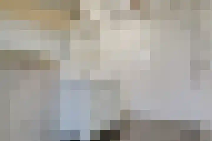 Witte Kruis 13 Babberich thumbnail 22