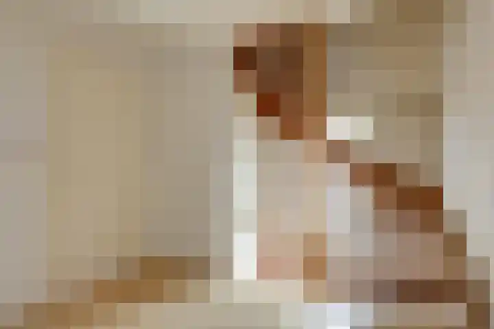 Witte Kruis 13 Babberich thumbnail 25