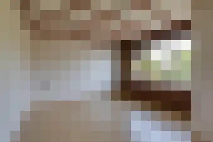Witte Kruis 13 Babberich thumbnail 27