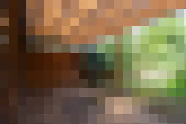 Witte Kruis 13 Babberich thumbnail 32