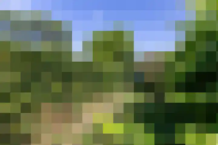 Witte Kruis 13 Babberich thumbnail 34