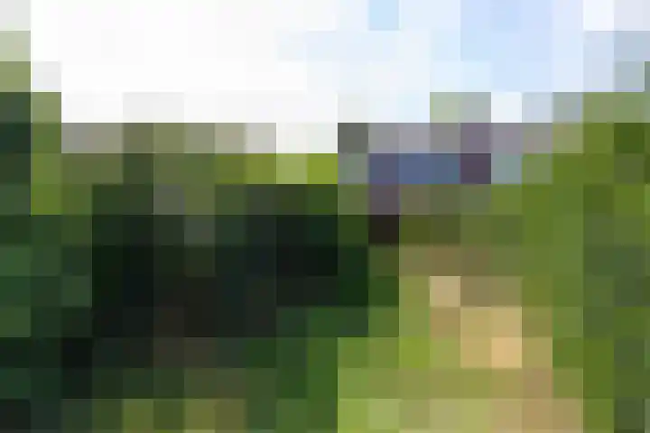 Witte Kruis 13 Babberich thumbnail 36