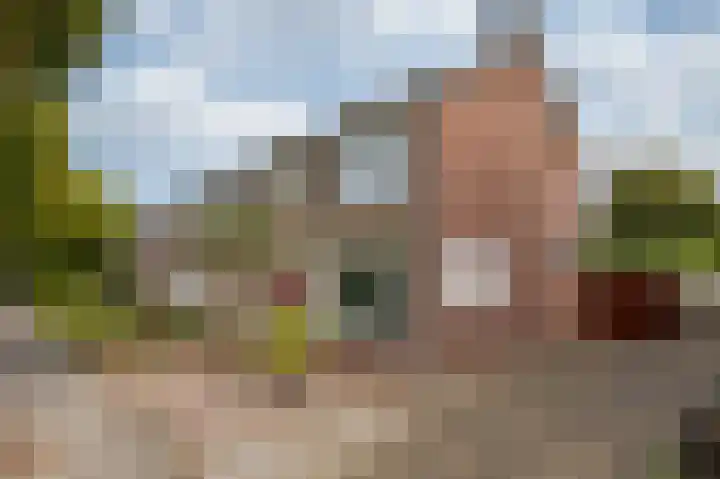 Witte Kruis 21 Babberich thumbnail 12