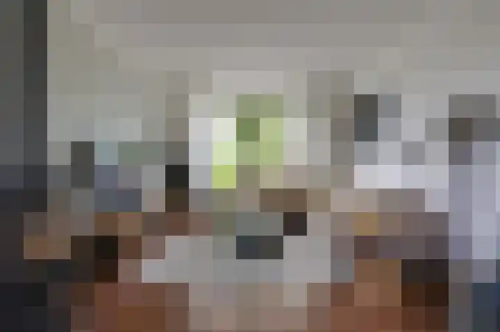 Witte Kruis 21 Babberich thumbnail 26