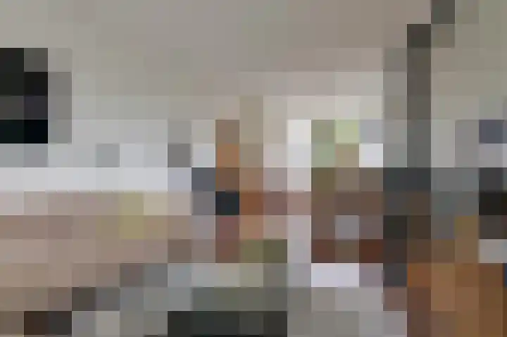 Witte Kruis 21 Babberich thumbnail 28
