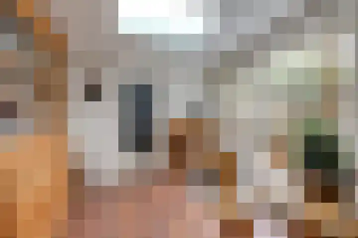 Witte Kruis 21 Babberich thumbnail 30