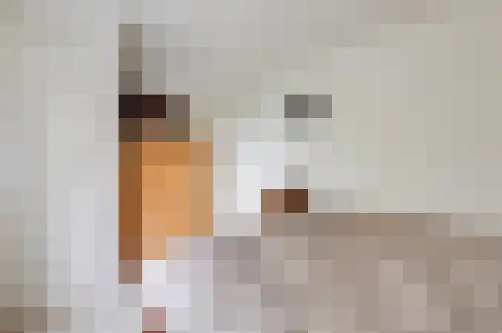 Witte Kruis 21 Babberich thumbnail 42