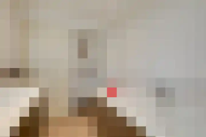 Witte Kruis 21 Babberich thumbnail 45