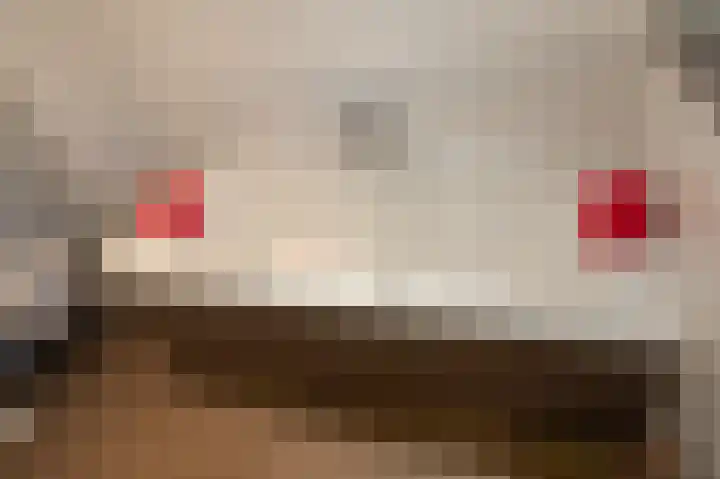 Witte Kruis 21 Babberich thumbnail 47