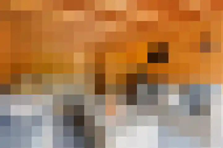 Witte Kruis 21 Babberich thumbnail 58