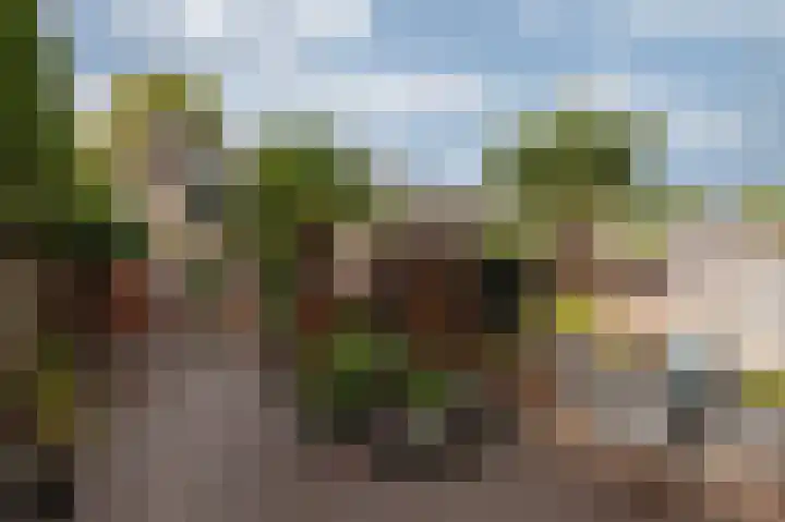 Witte Kruis 21 Babberich thumbnail 6