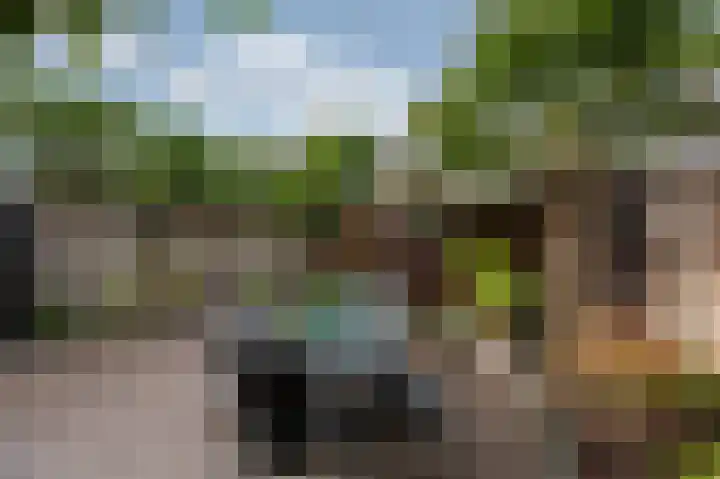 Witte Kruis 21 Babberich thumbnail 62