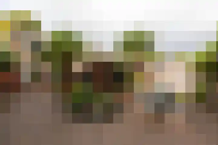 Witte Kruis 21 Babberich thumbnail 63
