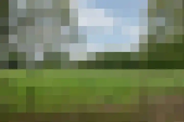 Witte Kruis 21 Babberich thumbnail 65