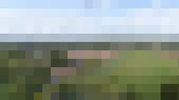 Witte Kruis 21 Babberich thumbnail 67