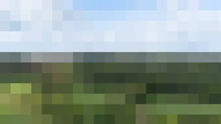 Witte Kruis 21 Babberich thumbnail 68