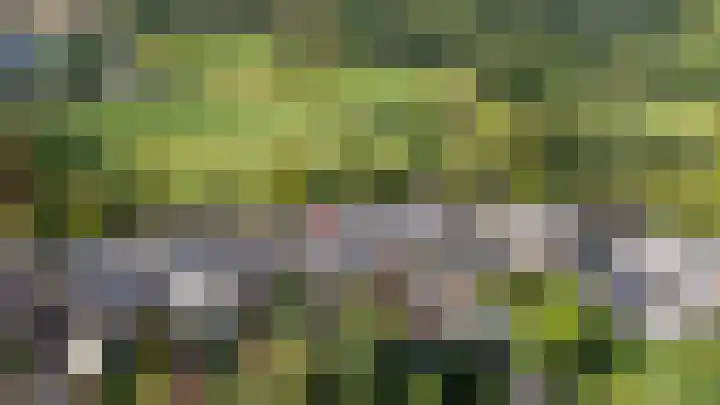 Witte Kruis 21 Babberich thumbnail 7