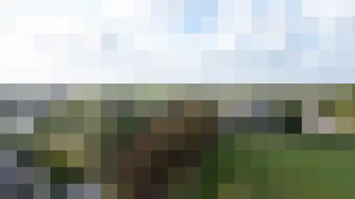 Witte Kruis 21 Babberich thumbnail 8