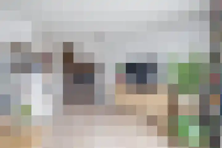 Witte Ring 16 Assendelft thumbnail 14