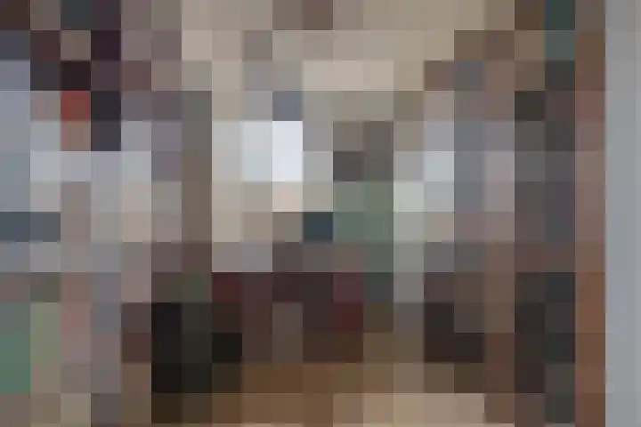 Witte Ring 16 Assendelft thumbnail 28
