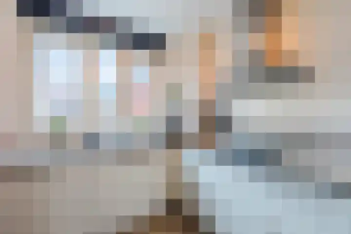 Witte Ring 60 Assendelft thumbnail 20