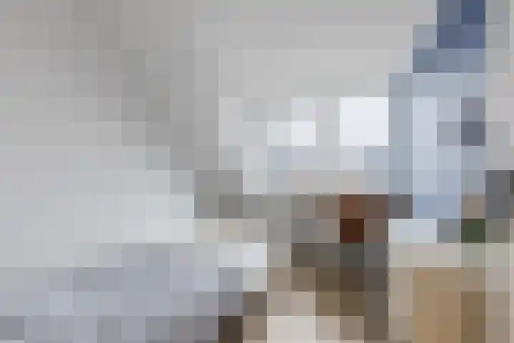 Witte Ring 60 Assendelft thumbnail 34