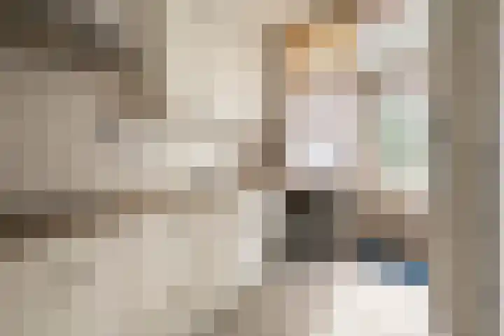 Witte Singel 100 Leiden thumbnail 10