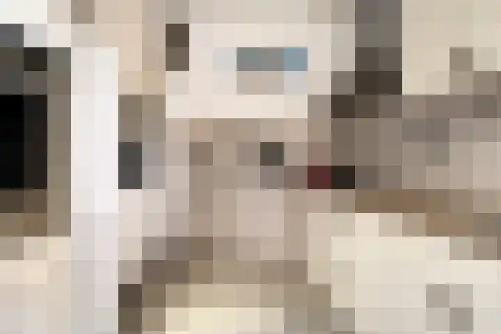 Witte Singel 100 Leiden thumbnail 11