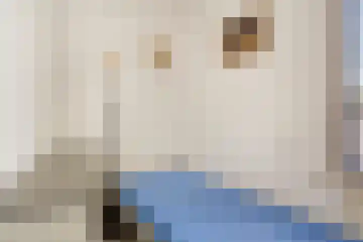 Witte Singel 100 Leiden thumbnail 12