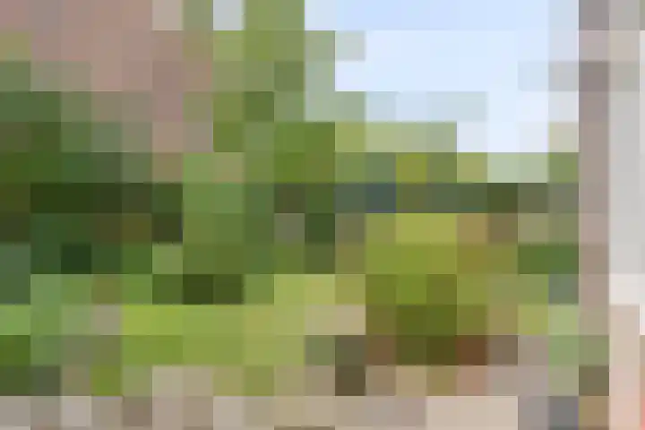 Witte Singel 100 Leiden thumbnail 39