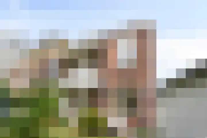 Witte Singel 100 Leiden thumbnail 40