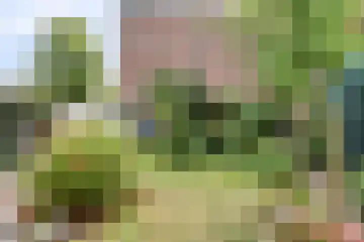 Witte Singel 100 Leiden thumbnail 43