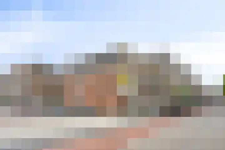 Witte Singel 100 Leiden thumbnail 46